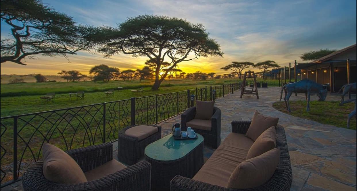 Best Time to Visit Tanzania: A Month-by-Month Safari Guide