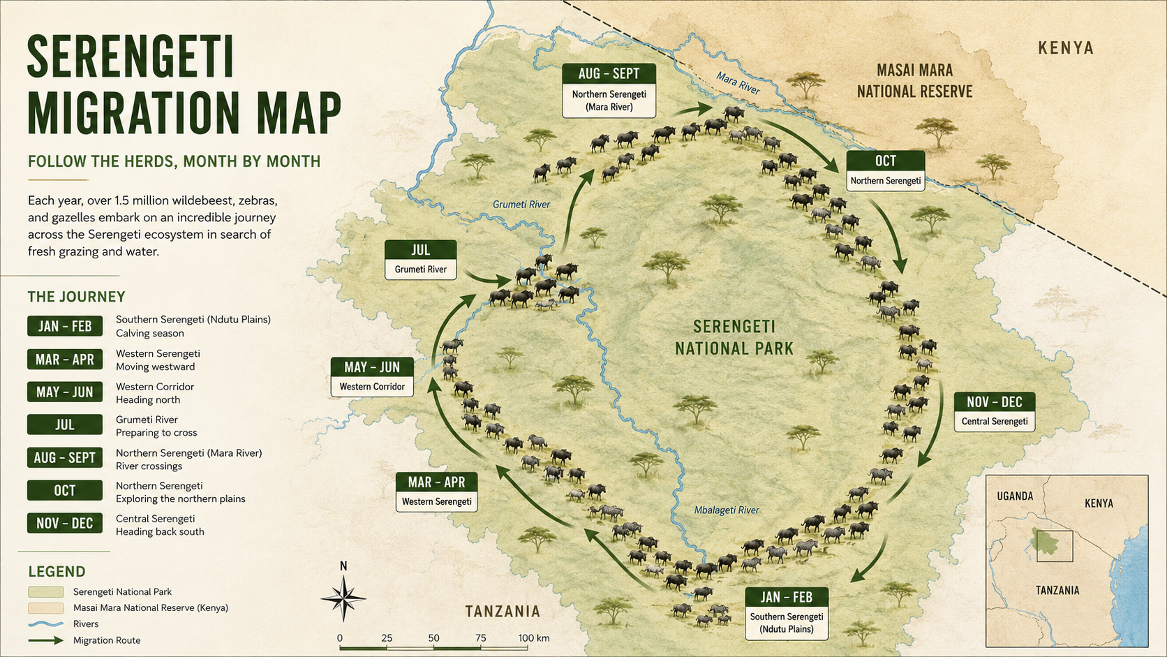 Understanding the Great Migration: Where to Be and When