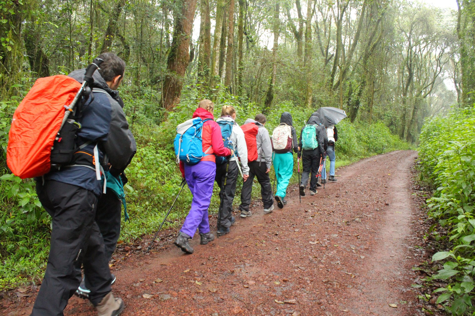 Guided Canyoning Trips in Tanzania