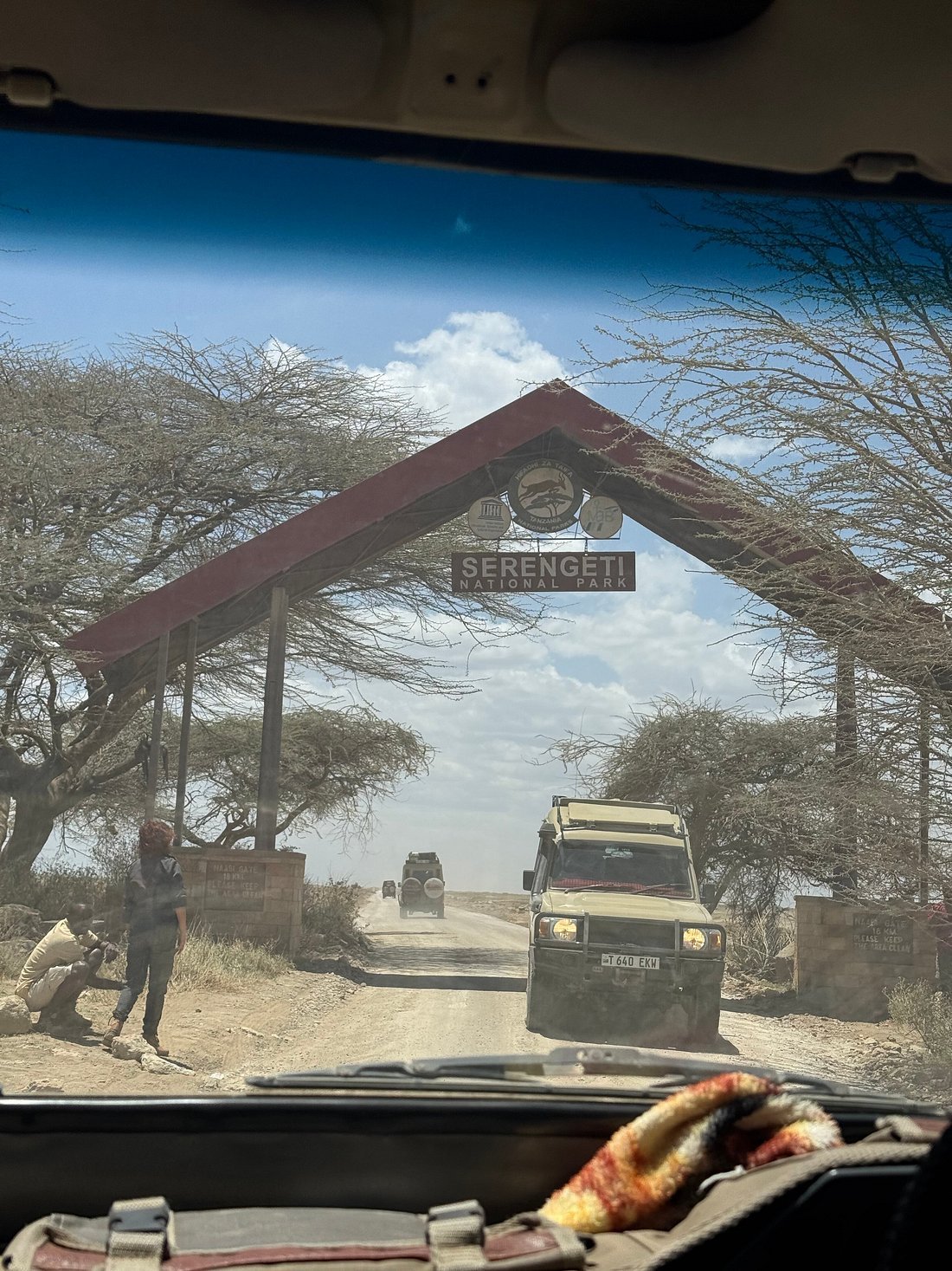 Serengeti National Park safari