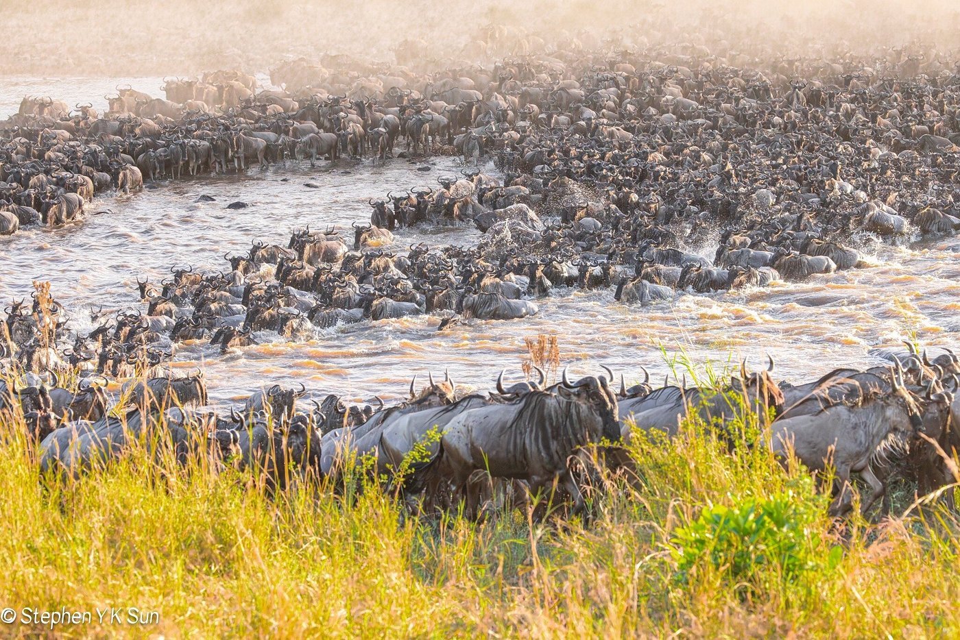 Serengeti National Park safari