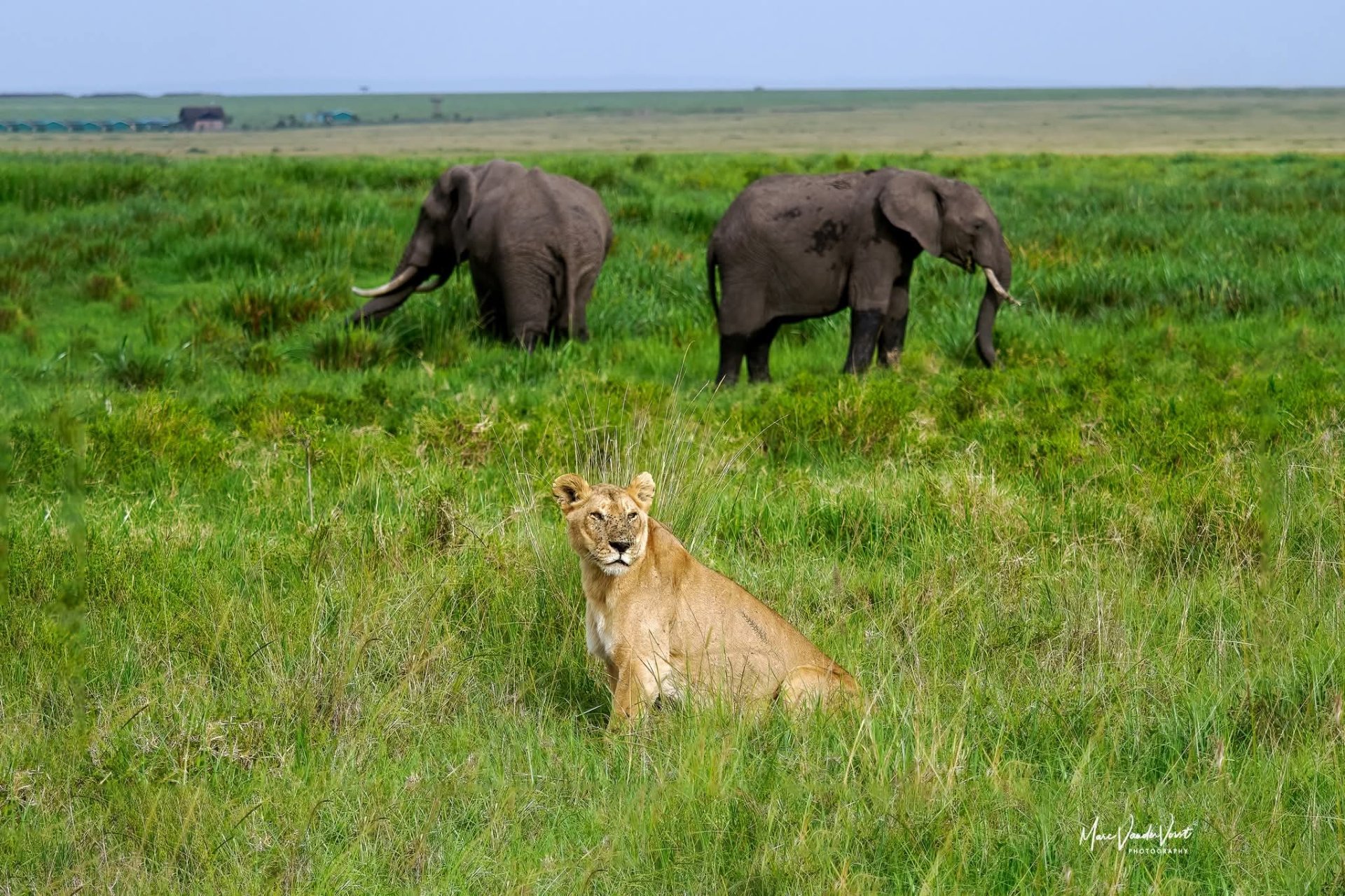 Tarangire National Park safari