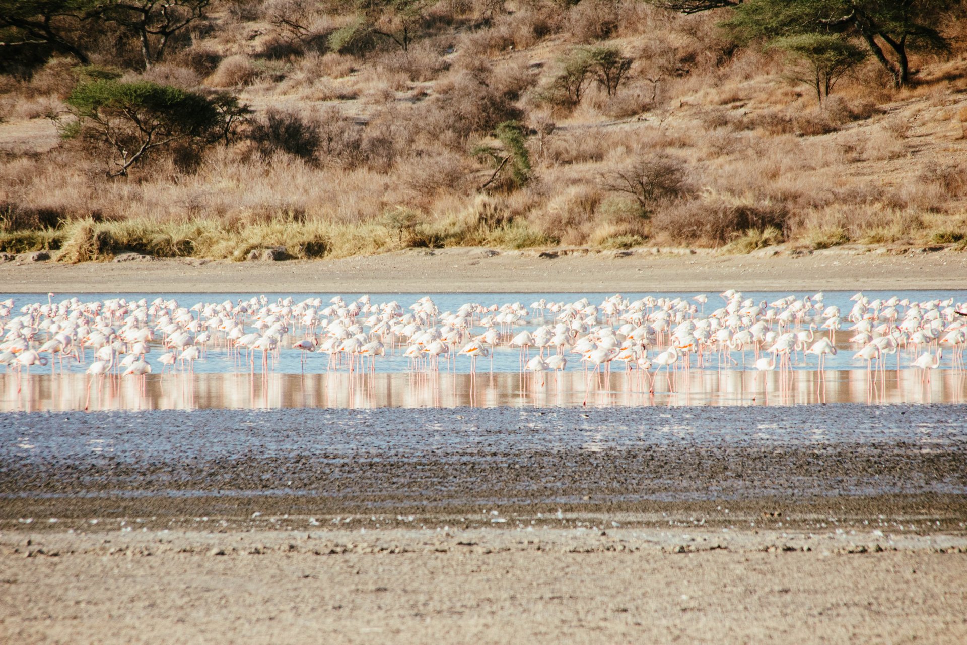 Lake Natron