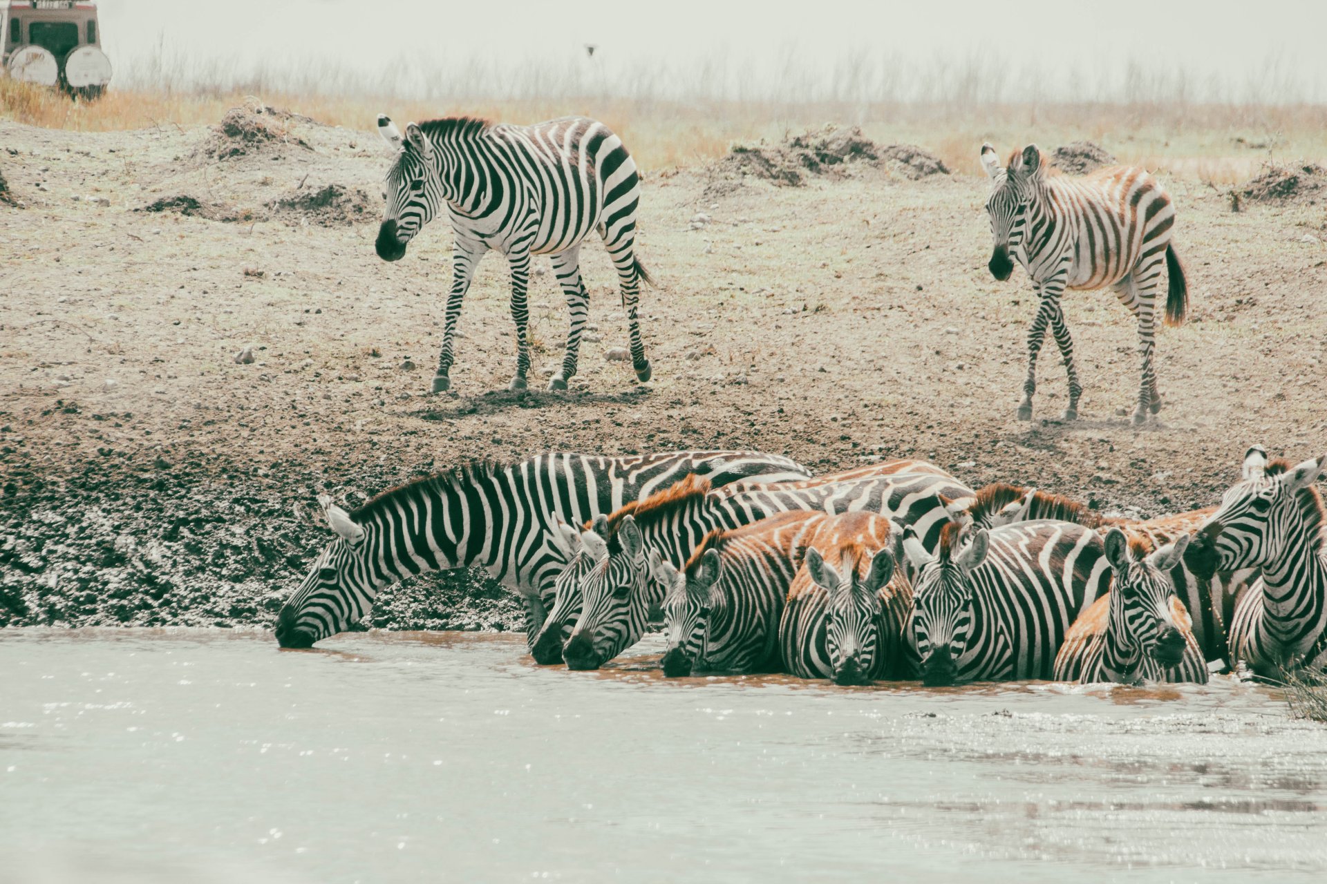 Saadani National Park