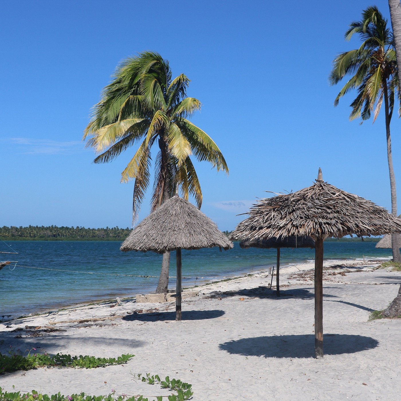 Pemba Island