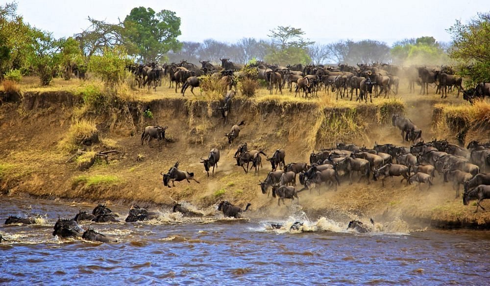 Great Migration