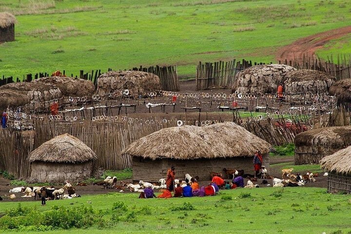 Maasai Cultural Experience