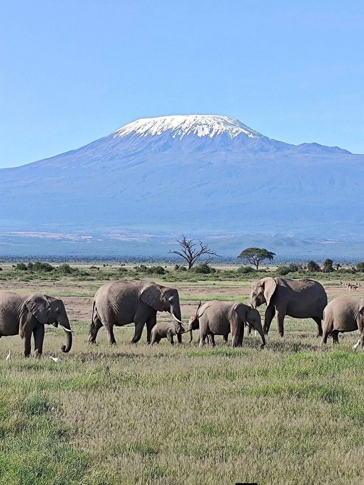 Kilimanjaro Trekking