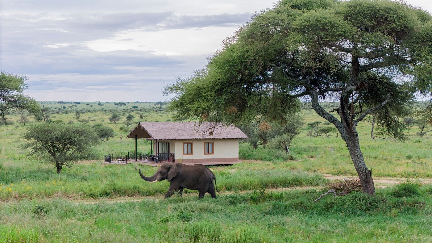 Wildlife, Culture & Comfort in Tanzania