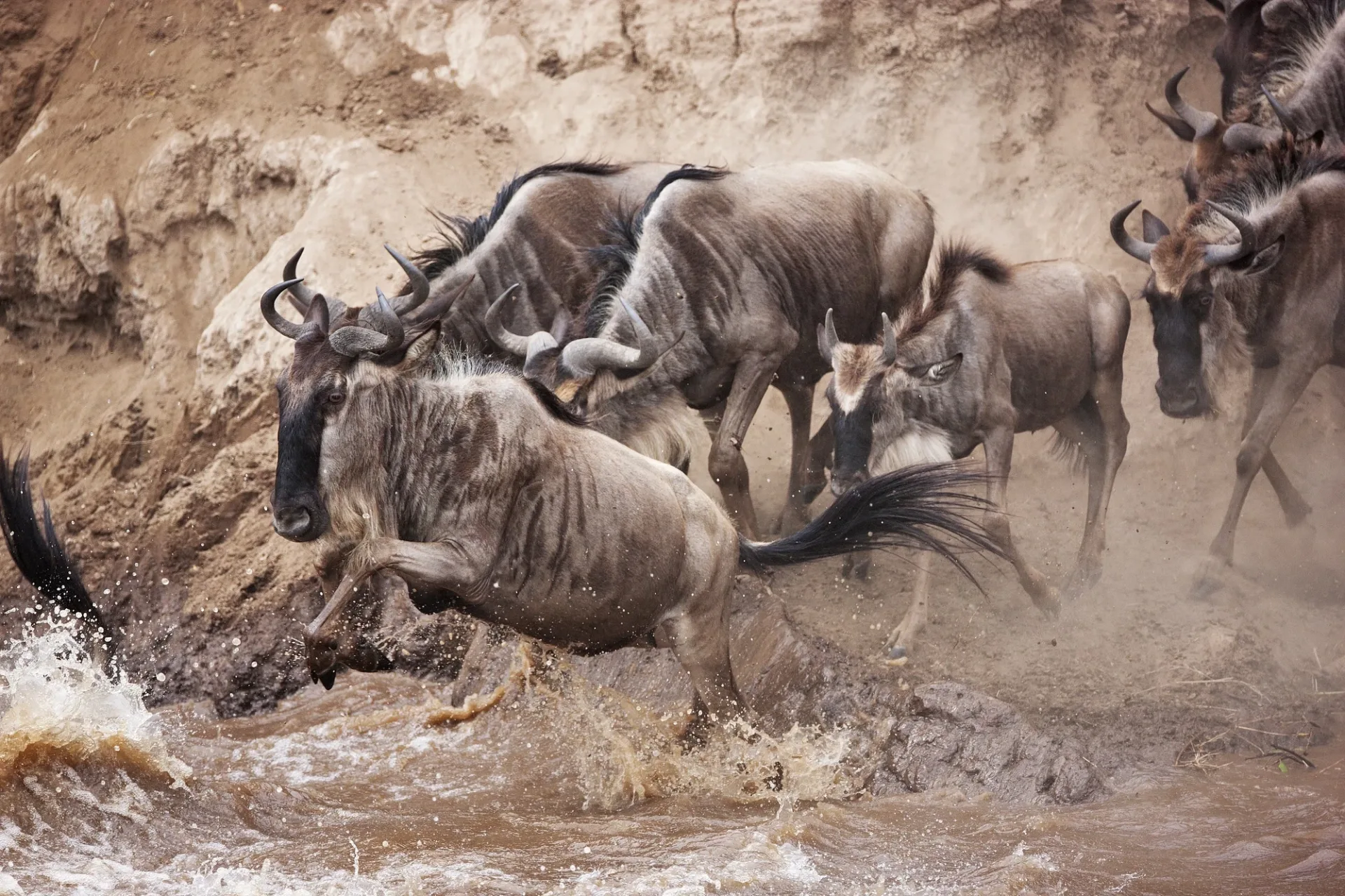 Experience the <em>Serengeti</em>