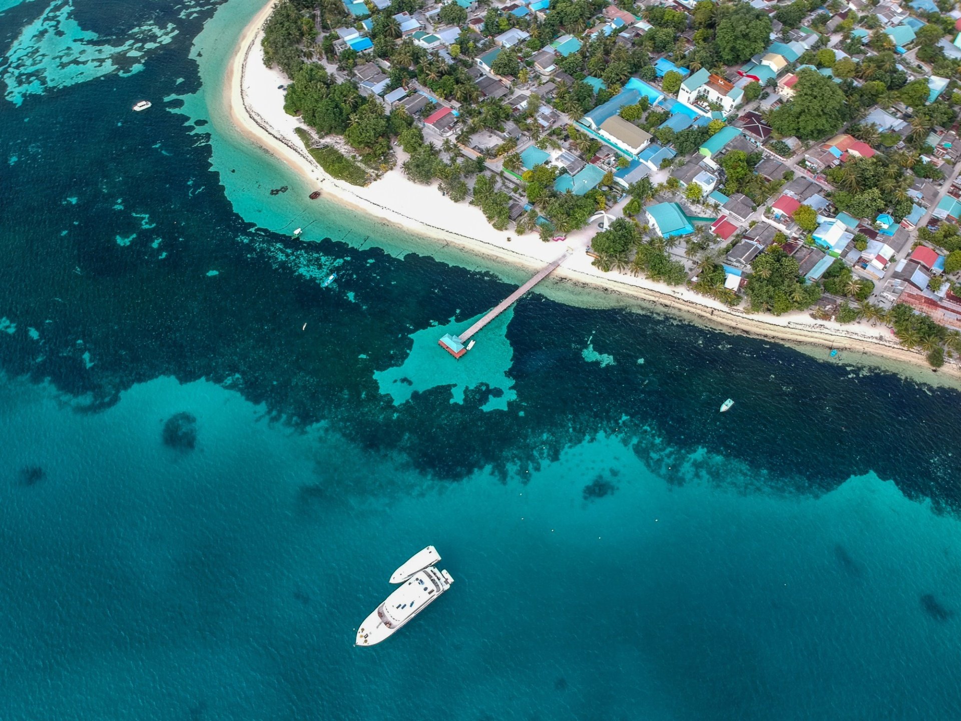 Discover <em>Zanzibar</em>