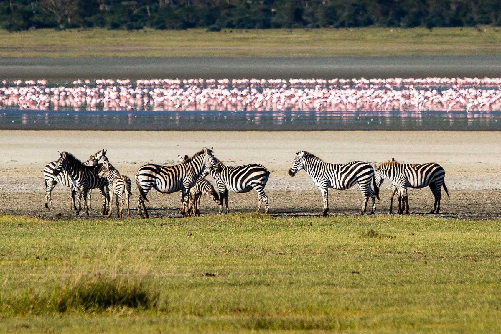<em>Ngorongoro</em> Crater