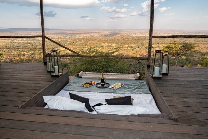 Stories, Tips & Safari Inspiration