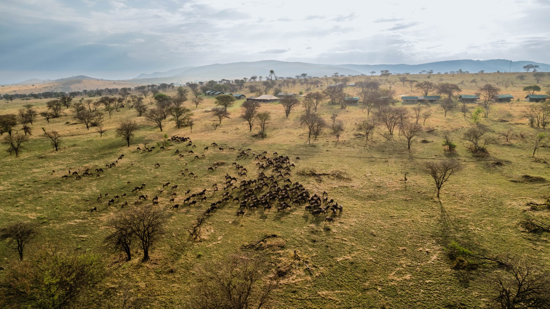 Tanzania Safari Tours for Every Budget