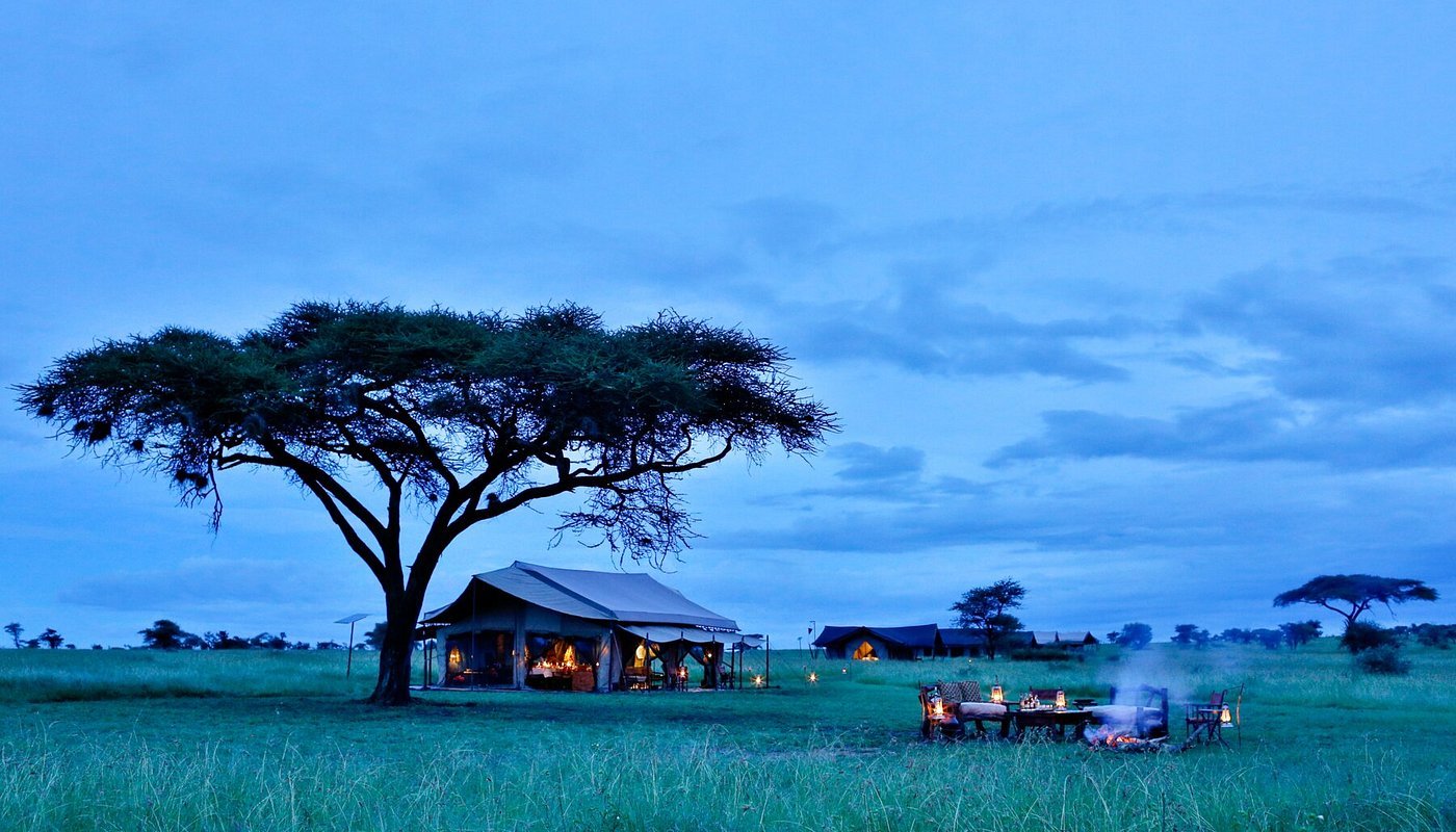 CULTURE AND WILDLIFE SAFARI AND ZANZIBAR