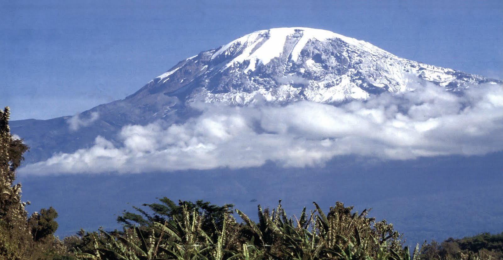 7 Days Machame Climbing, One Promise Behind It All