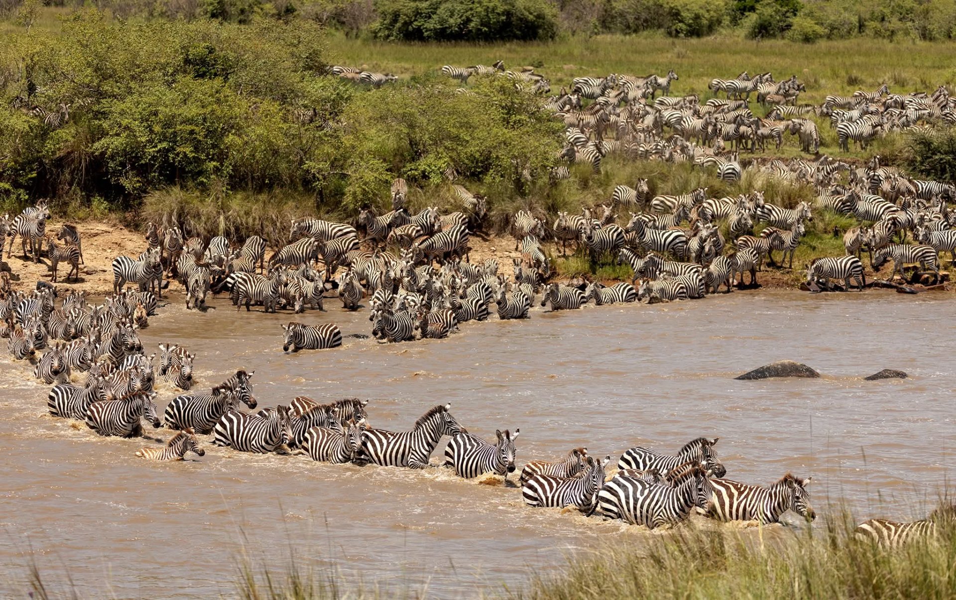 5 Days Tanzania Group Joining Safari – Low Season Special