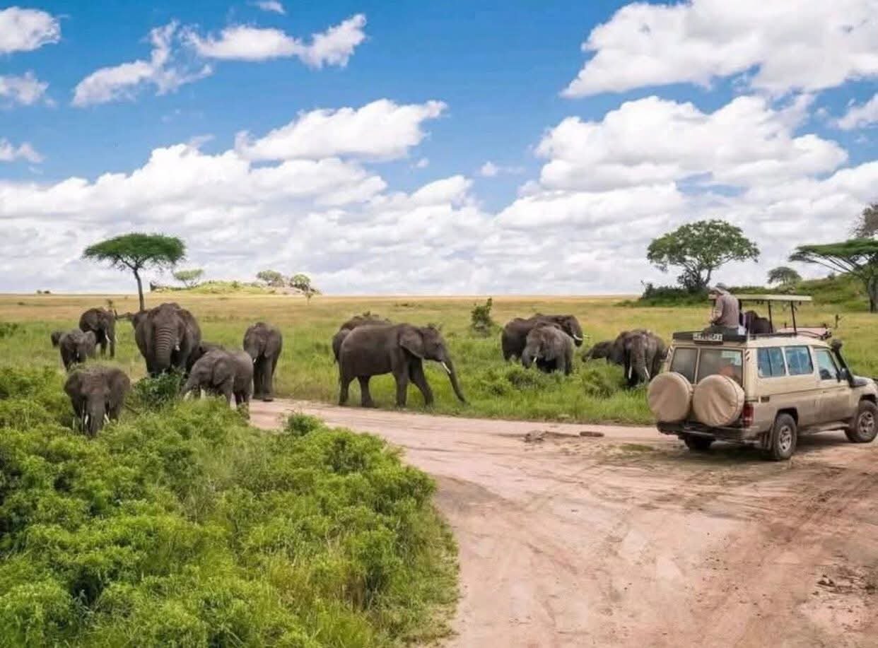 5 Days Tanzania Group Joining Safari – Low Season Special