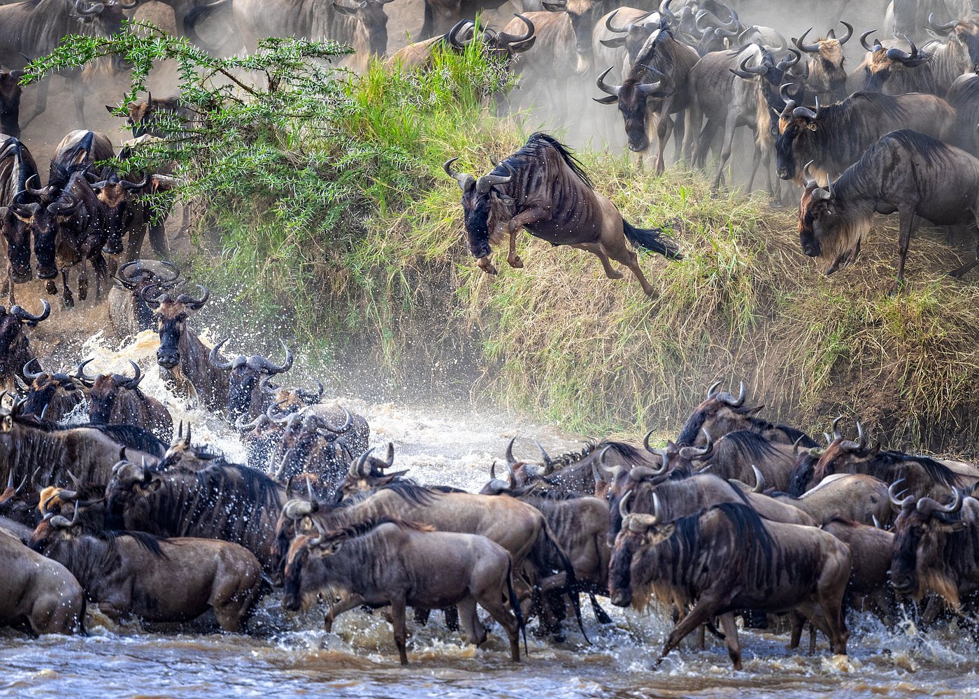 7-Day Tanzania Safari: Serengeti, Ngorongoro & Tarangire