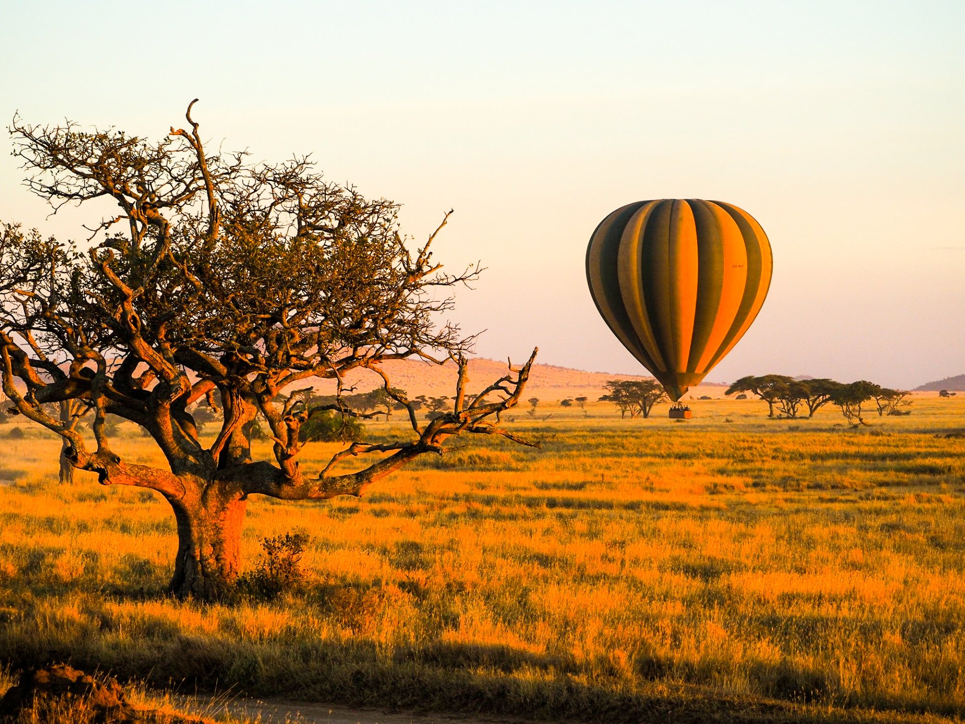 4 Day -The Great Migration in Northern & Central Serengeti