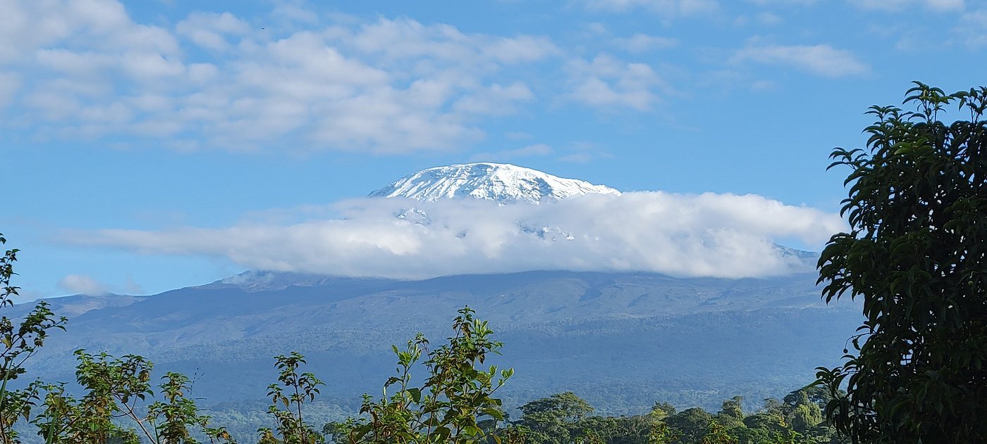 7 Days Machame Climbing, One Promise Behind It All
