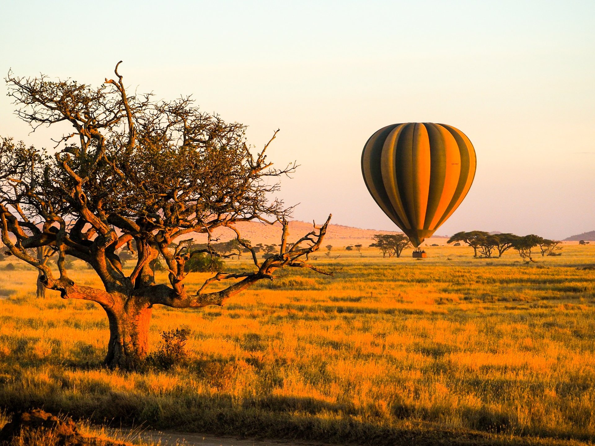 4 Day -The Great Migration in Northern & Central Serengeti - Photo 1