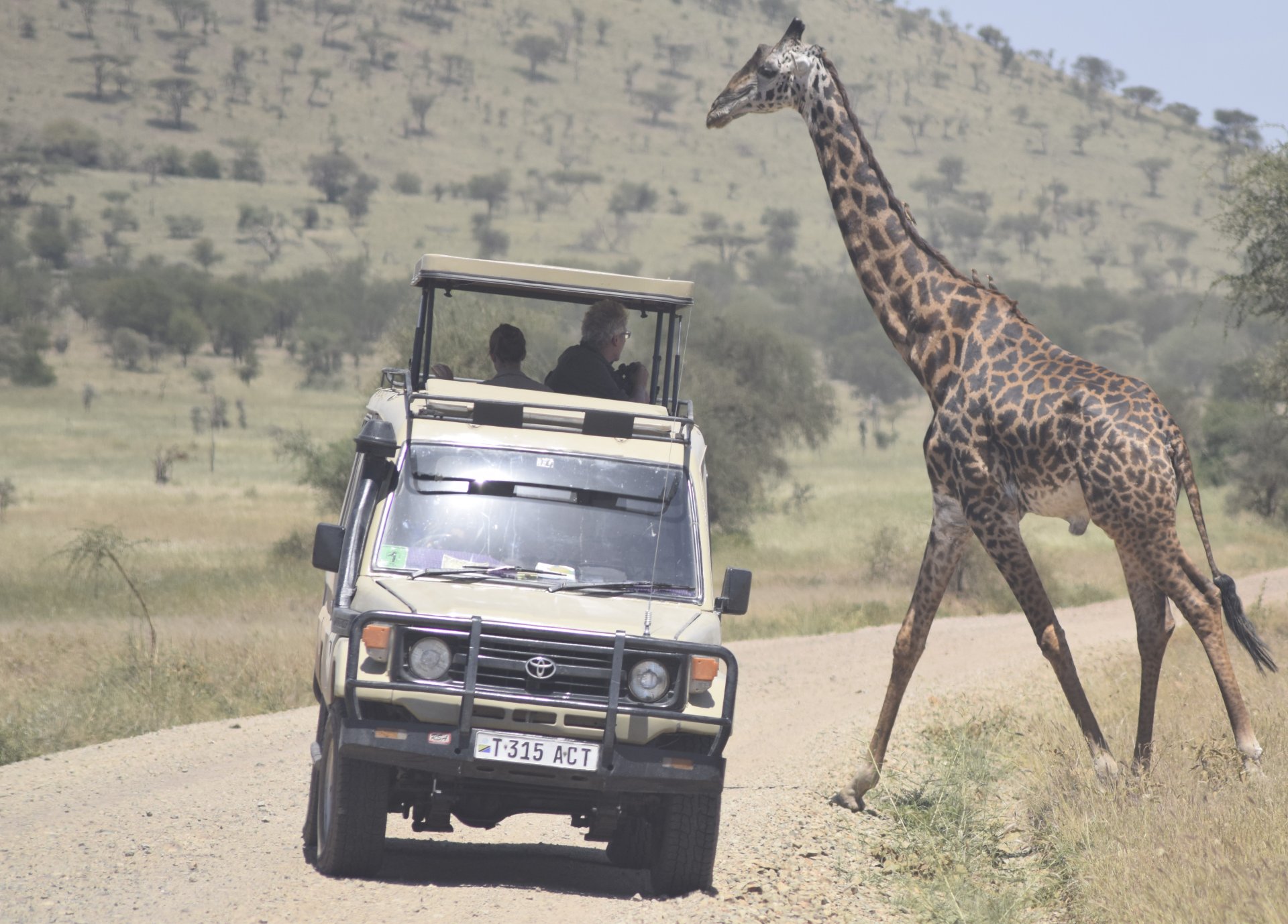 5-Day Tanzania Classic Safari