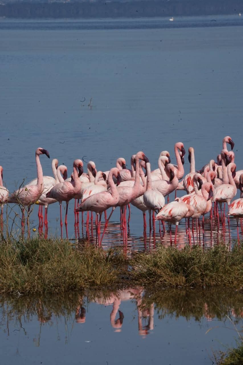 6-Day Group Joining Tanzania Safari 2027 - Photo 2